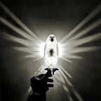 Modern Creative Bird Wall Lamp Atmosphere Sconce Light 3D Printing Body Animal Lighting Luster Home Decor